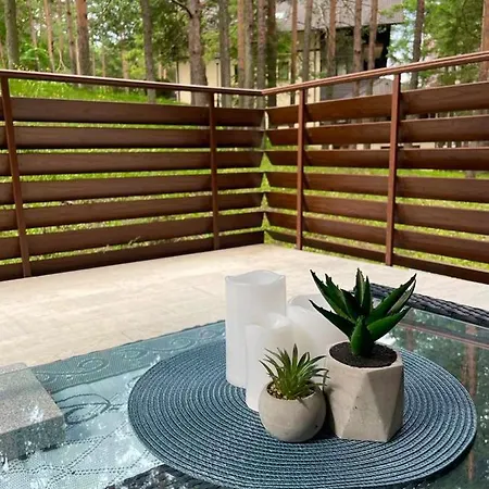 דירה Jelena זלאטיבור