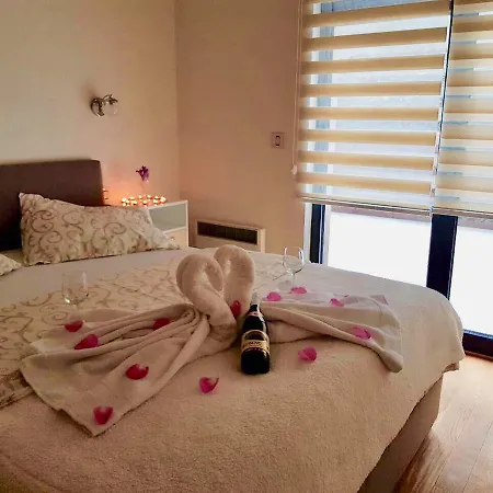 Jelena Apartment Zlatibor