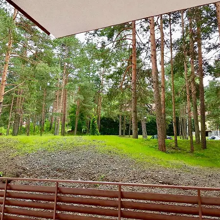 Apartment Jelena Zlatibor
