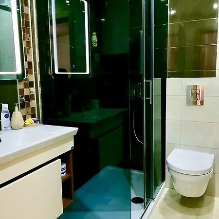 Jelena Apartment Zlatibor