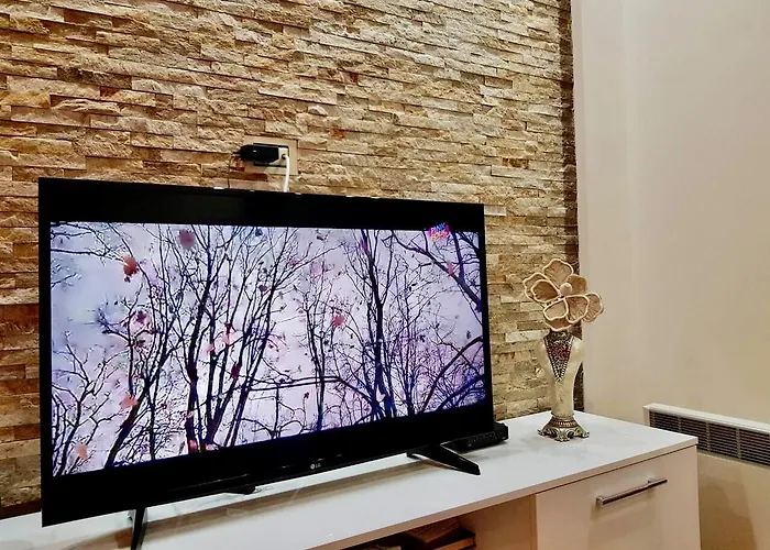 Jelena * 즐라티보